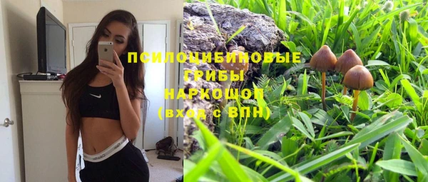 а пвп мука Аша