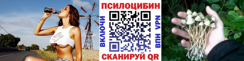 Галлюциногенные грибы прущие грибы  как найти закладки  Ильский 