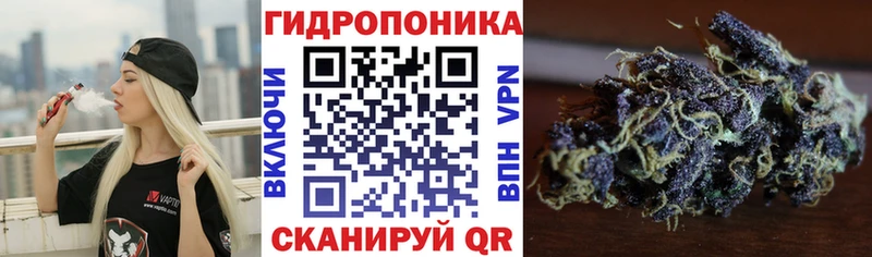 Шишки марихуана марихуана  Ильский 